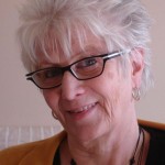 karin nyberg fleischer
