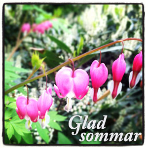 Glad Sommar